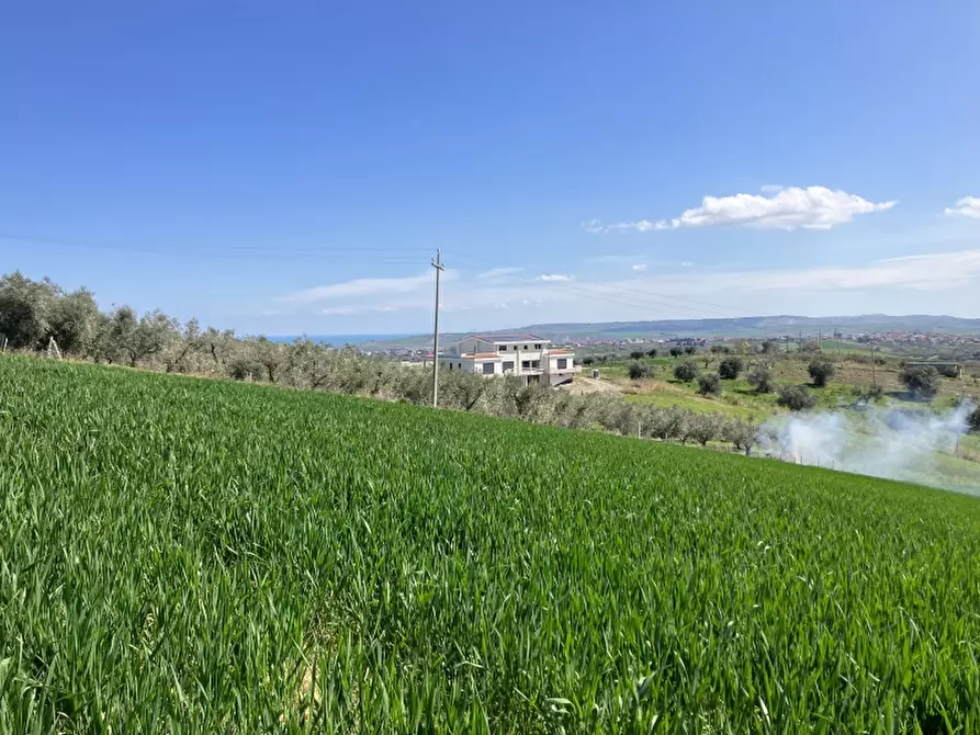 Immagine 15 di Terreno agricolo in vendita  a Vasto