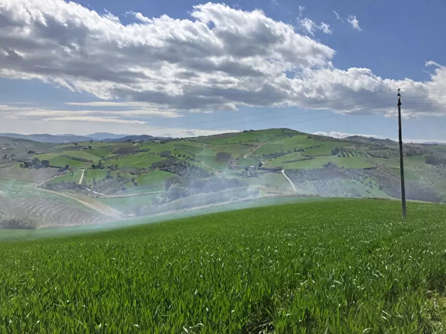 Immagine 17 di Terreno agricolo in vendita  a Vasto