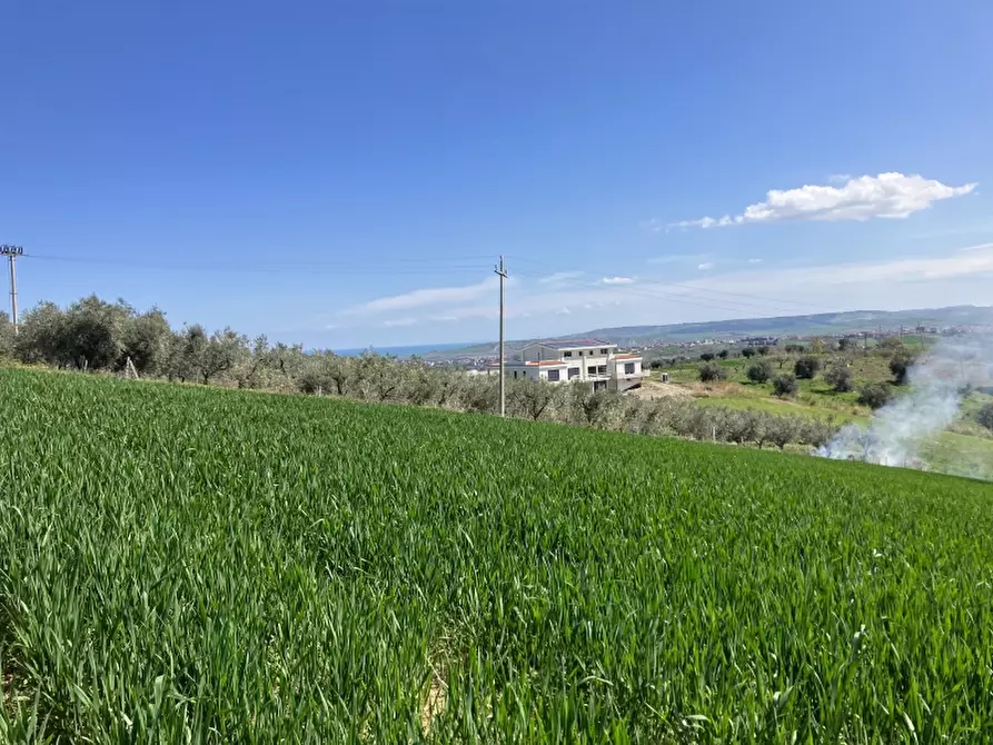 Immagine 18 di Terreno agricolo in vendita  a Vasto