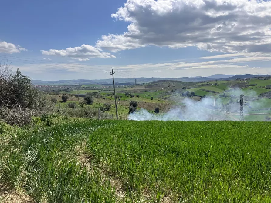 Immagine 19 di Terreno agricolo in vendita  a Vasto