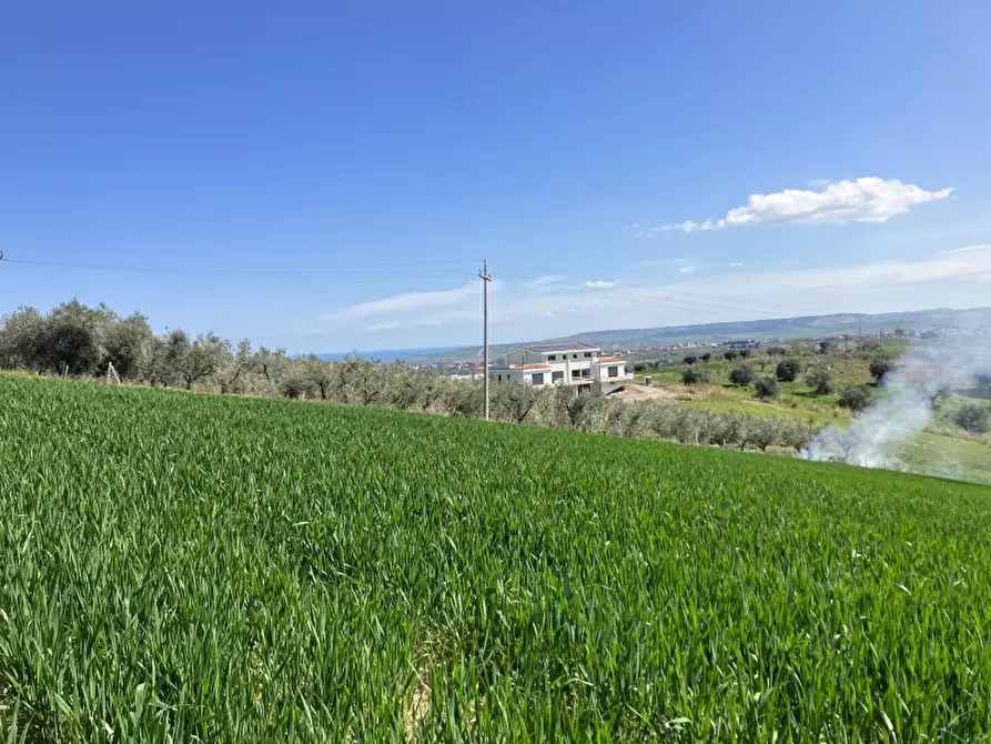 Immagine 20 di Terreno agricolo in vendita  a Vasto