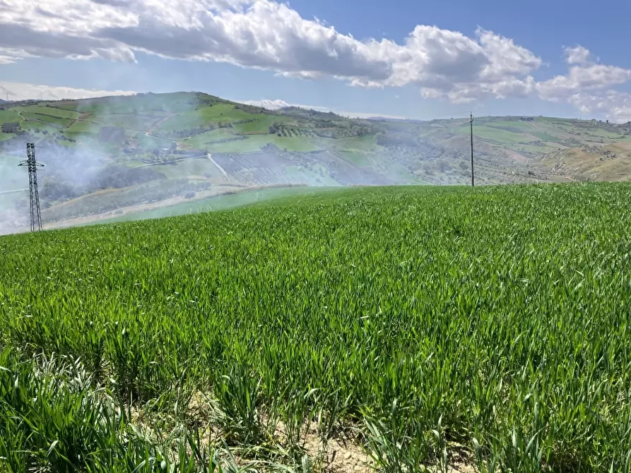 Immagine 5 di Terreno agricolo in vendita  a Vasto