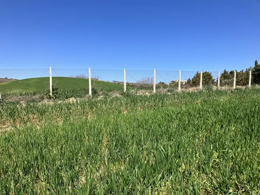 Immagine 23 di Terreno agricolo in vendita  a Vasto