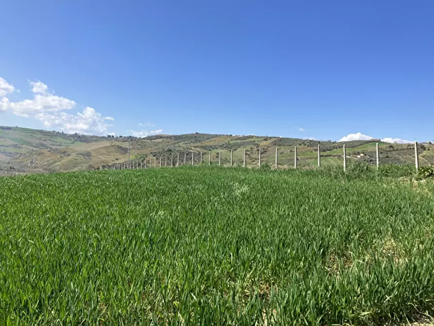 Immagine 6 di Terreno agricolo in vendita  a Vasto