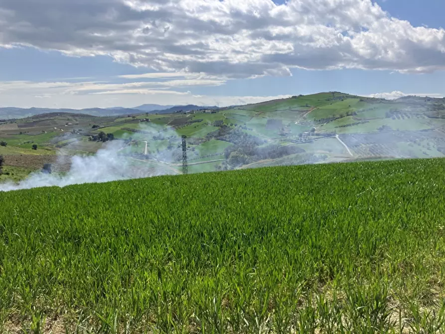 Immagine 7 di Terreno agricolo in vendita  a Vasto