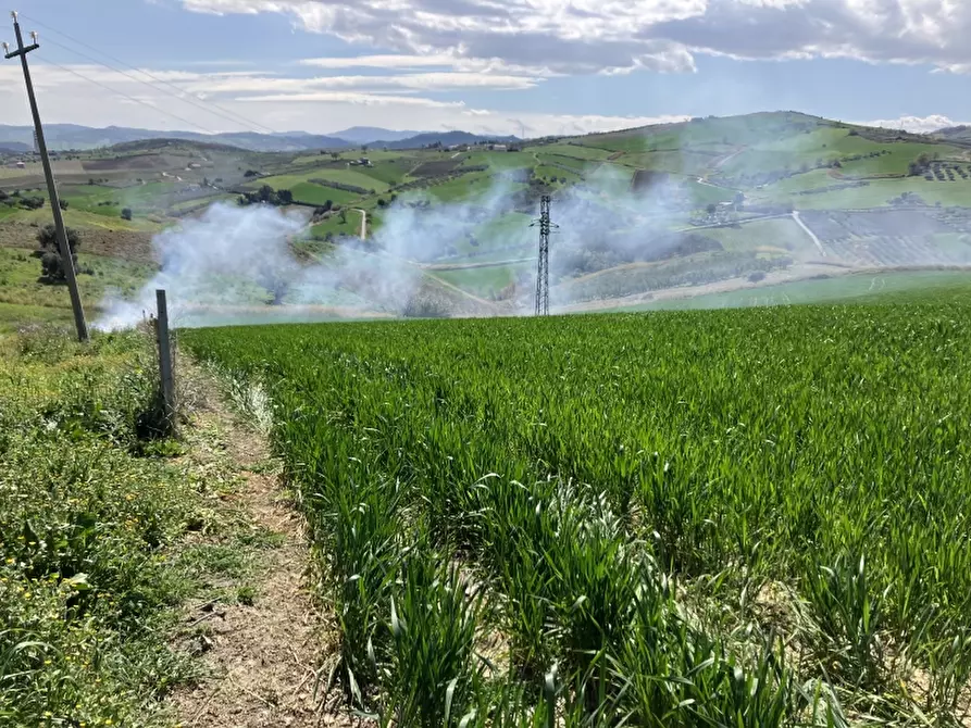Immagine 8 di Terreno agricolo in vendita  a Vasto