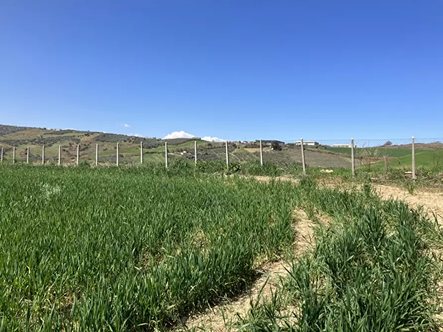 Immagine 9 di Terreno agricolo in vendita  a Vasto