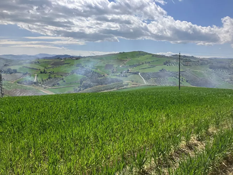 Immagine 10 di Terreno agricolo in vendita  a Vasto