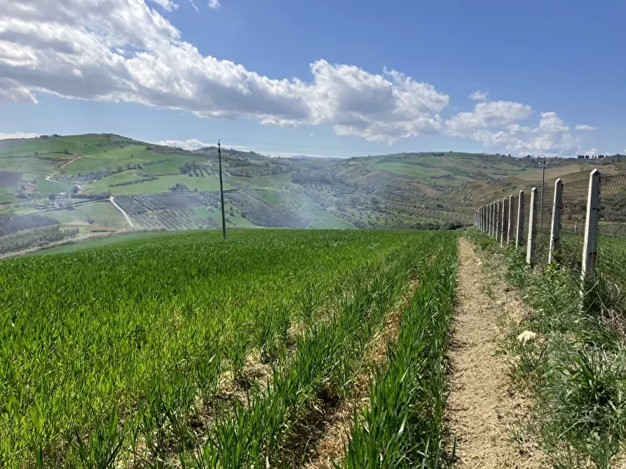 Immagine 11 di Terreno agricolo in vendita  a Vasto
