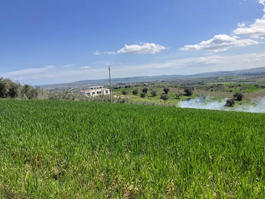 Immagine 12 di Terreno agricolo in vendita  a Vasto