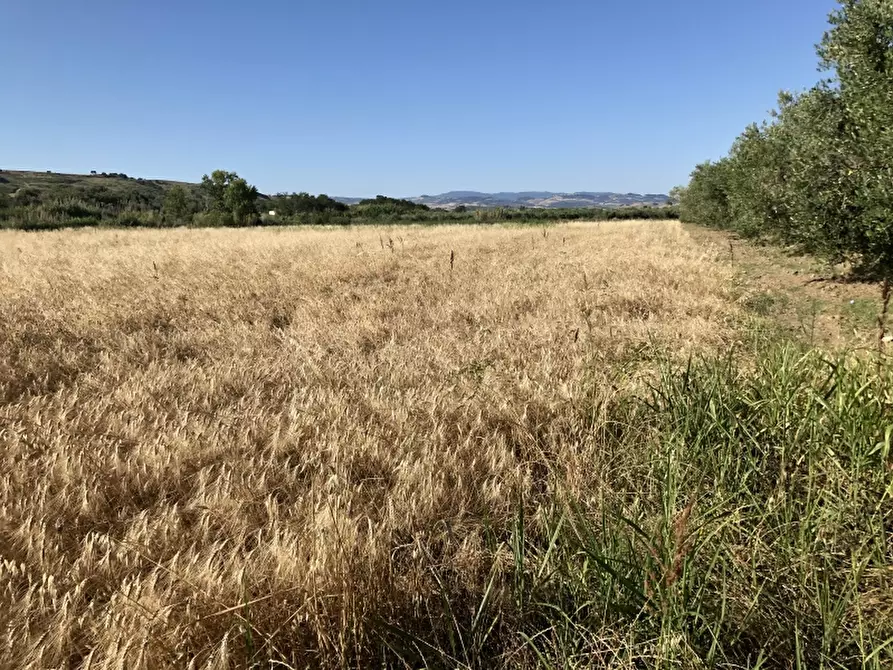 Immagine 18 di Terreno industriale in vendita  in CONTRADA PADULA a San Salvo