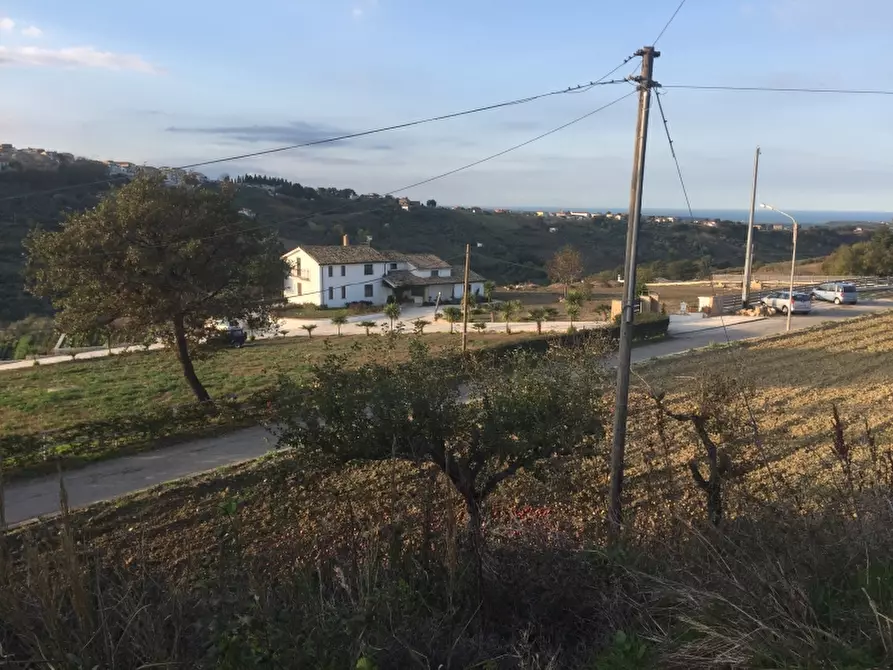 Immagine 18 di Terreno residenziale in vendita  in monteodorisio a Monteodorisio