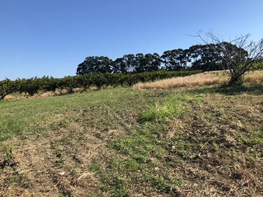 Immagine 20 di Terreno industriale in vendita  in CONTRADA PADULA a San Salvo