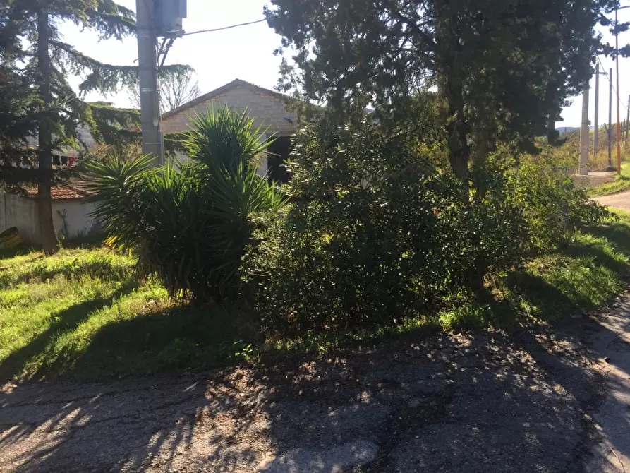 Immagine 6 di Villa in vendita  in CONTRADA PESCHIOLA a Gissi