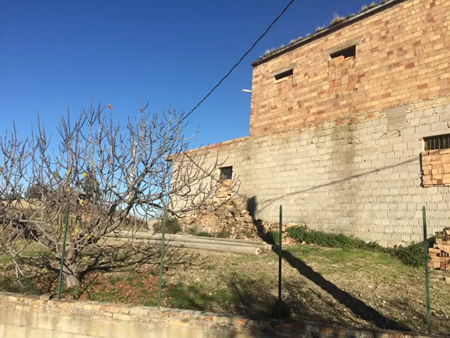 Immagine 4 di Azienda agricola in vendita  in CONTRADA SCOSSE a Cupello