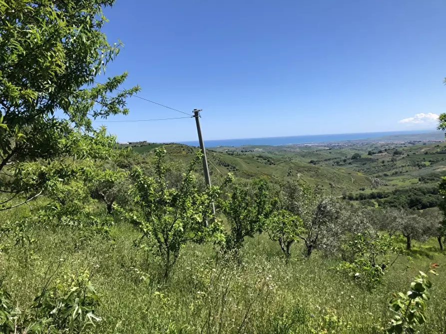 Immagine 3 di Rustico / casale in vendita  in colle mincuccio a Cupello