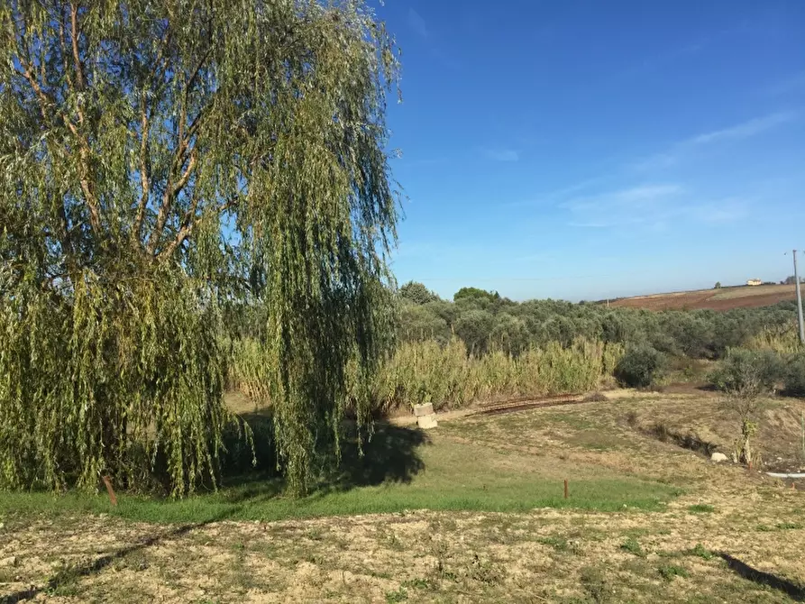 Immagine 6 di Attività artigianale in vendita  in contrada lago a Cupello
