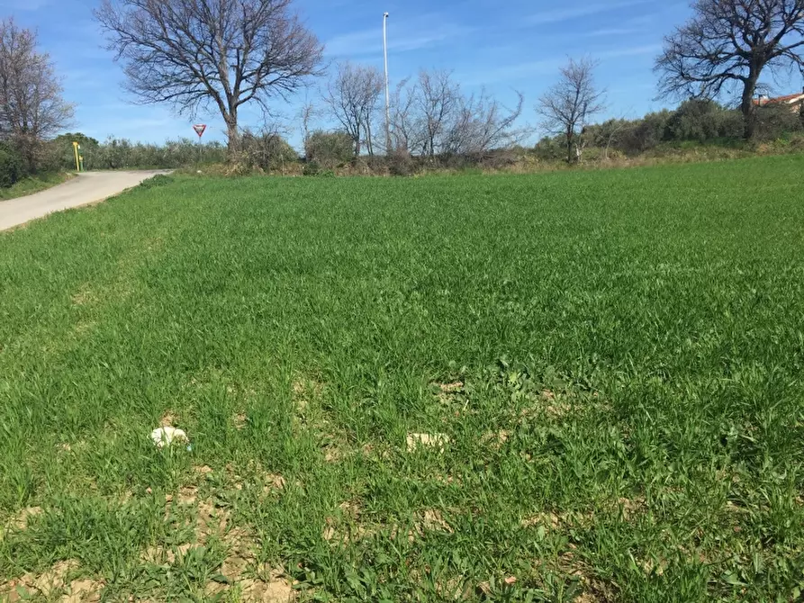 Immagine 3 di Terreno edificabile in vendita  in Contrada Ributtini a San Salvo