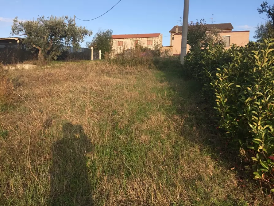 Immagine 5 di Terreno residenziale in vendita  in monteodorisio a Monteodorisio