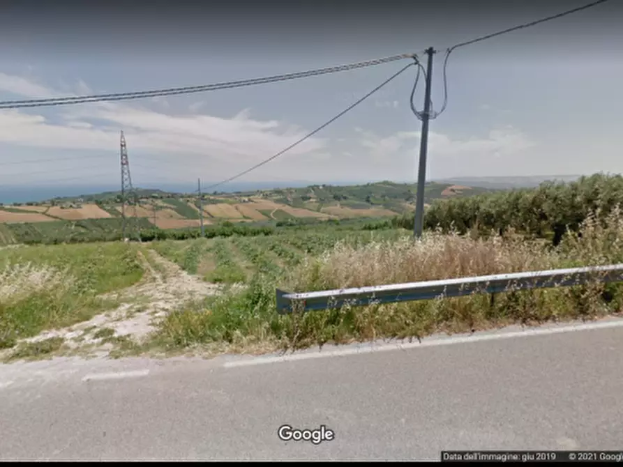 Immagine 4 di Terreno agricolo in vendita  in contrada Polercia a Vasto