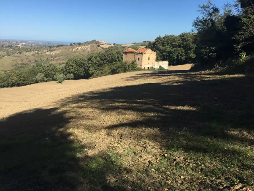 Immagine 4 di Terreno agricolo in vendita  a Cupello