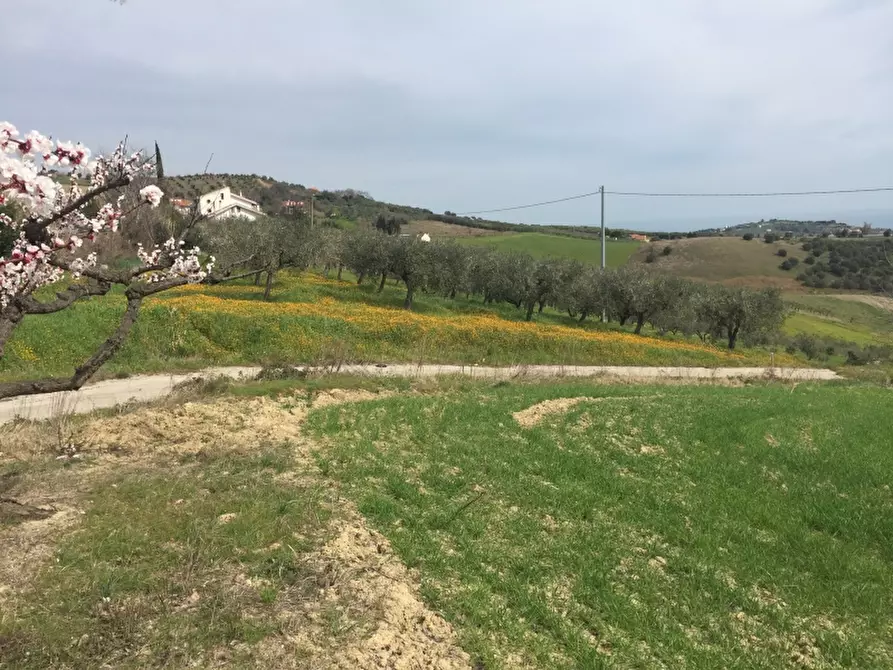 Immagine 3 di Terreno agricolo in vendita  in CONTRADA POLERCIA a Vasto