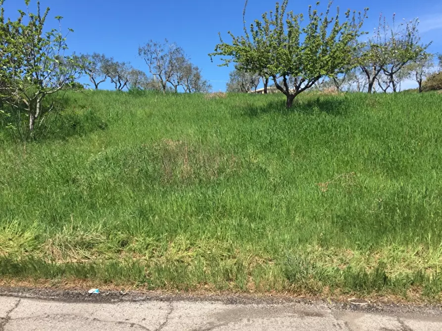 Immagine 4 di Terreno industriale in vendita  in PUNTA PENNA a Vasto