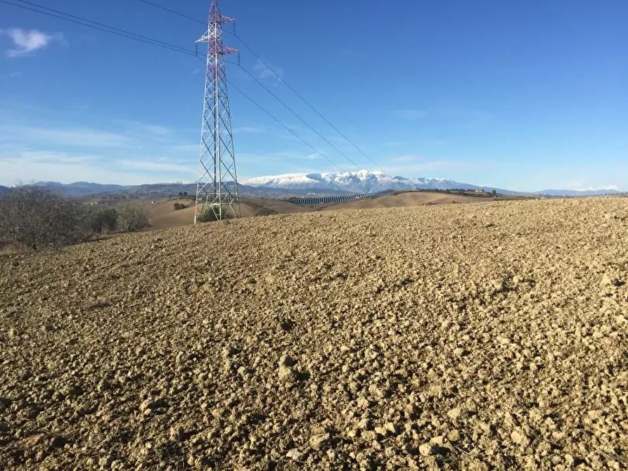 Immagine 5 di Azienda agricola in vendita  in CONTRADA SCOSSE a Cupello