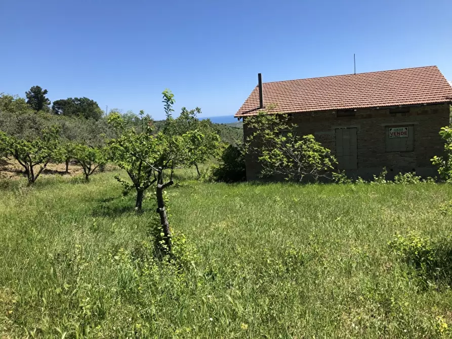 Immagine 4 di Rustico / casale in vendita  in colle mincuccio a Cupello