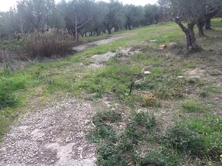 Immagine 5 di Villa in vendita  in colle pizzuto a Cupello