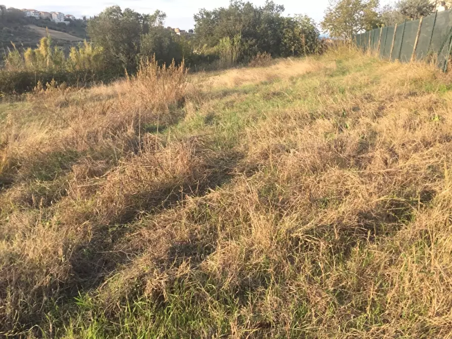 Immagine 6 di Terreno residenziale in vendita  in monteodorisio a Monteodorisio