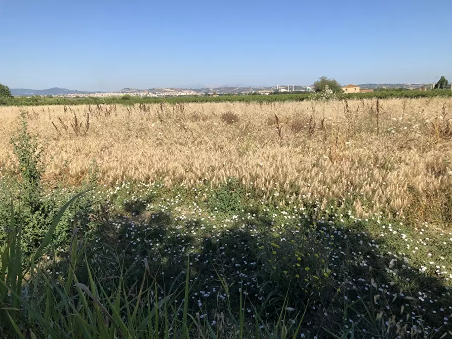 Immagine 4 di Terreno industriale in vendita  in CONTRADA PADULA a San Salvo