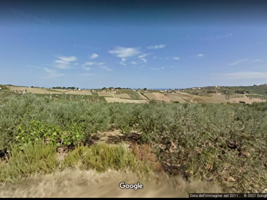 Immagine 5 di Terreno agricolo in vendita  in contrada Polercia a Vasto