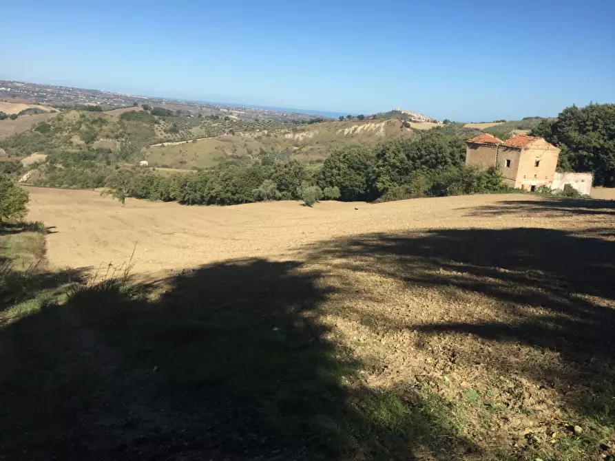 Immagine 5 di Terreno agricolo in vendita  a Cupello