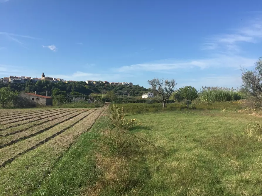 Immagine 8 di Terreno edificabile in vendita  in CAMPOMARINO LIDO a Campomarino
