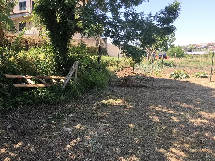 Immagine 6 di Terreno residenziale in vendita  in VIA ISTONIA a Cupello