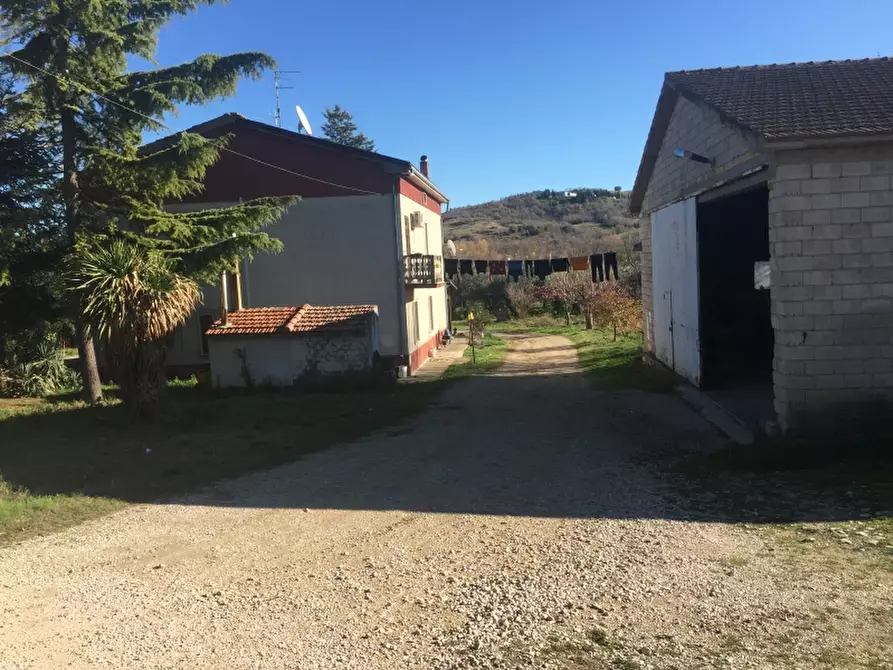 Immagine 8 di Villa in vendita  in CONTRADA PESCHIOLA a Gissi