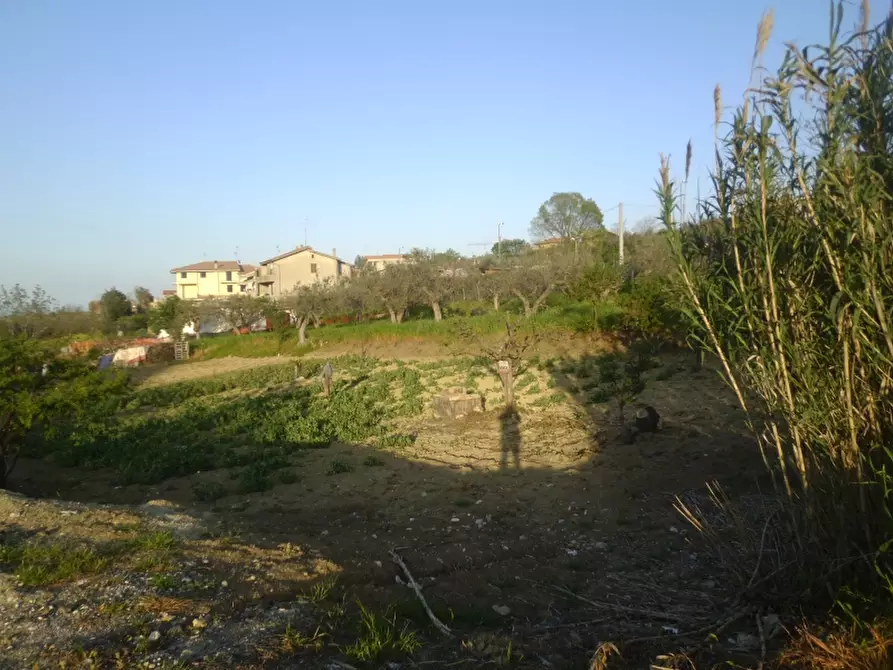 Immagine 5 di Terreno residenziale in vendita  in Cupello a Cupello