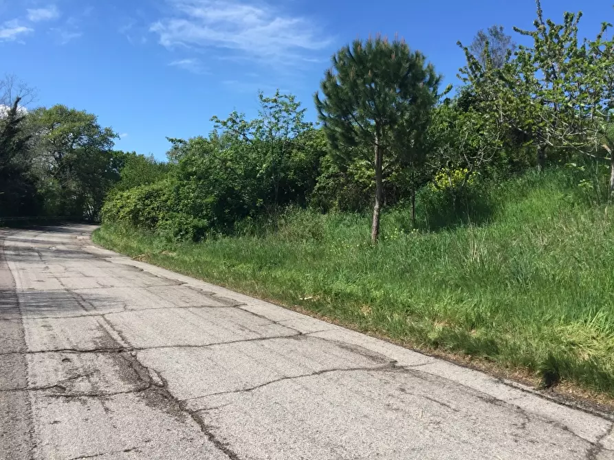 Immagine 5 di Terreno industriale in vendita  in PUNTA PENNA a Vasto
