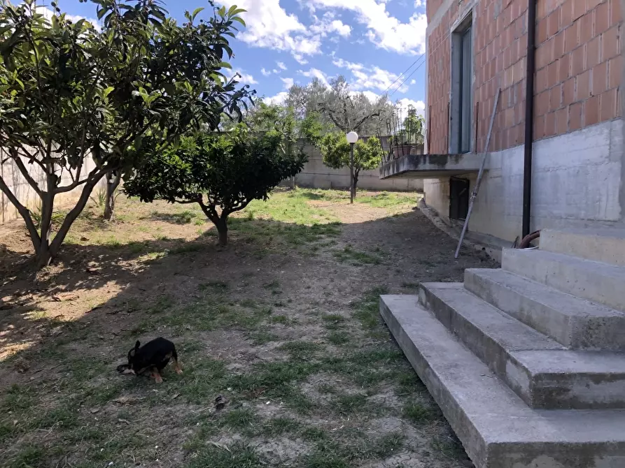 Immagine 6 di Casa indipendente in vendita  in viale e. mattei a Cupello