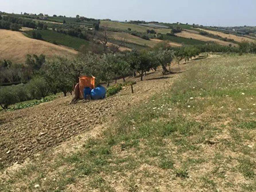 Immagine 14 di Terreno residenziale in vendita  a Vasto