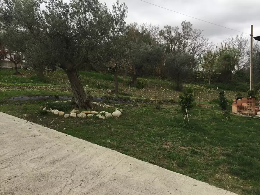 Immagine 9 di Terreno edificabile in vendita  in VIA ISTONIA a Cupello