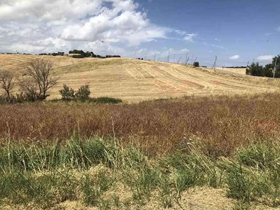 Immagine 5 di Porzione di casa in vendita  in CONTRADA TRATTURO a Gissi