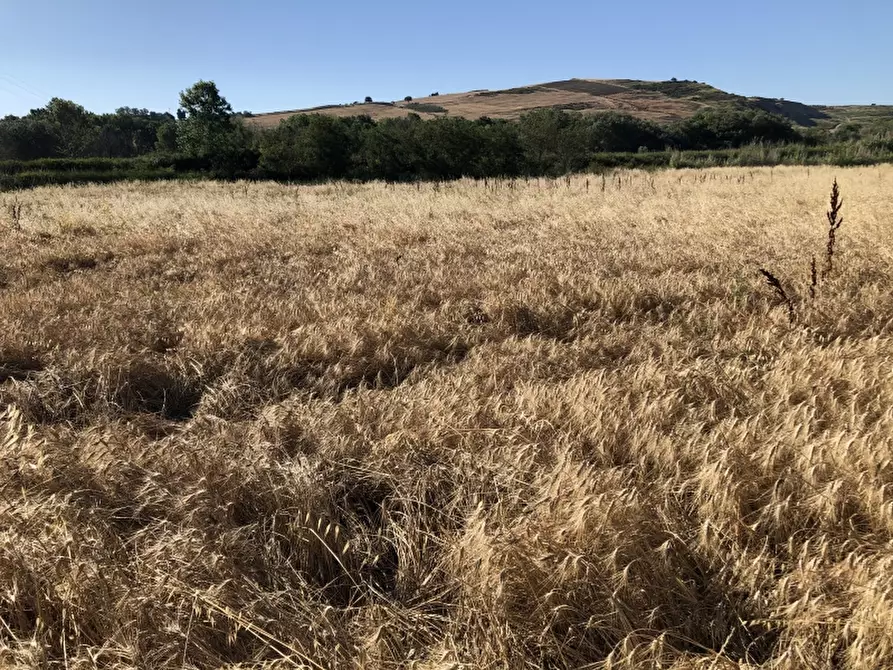 Immagine 5 di Terreno industriale in vendita  in CONTRADA PADULA a San Salvo