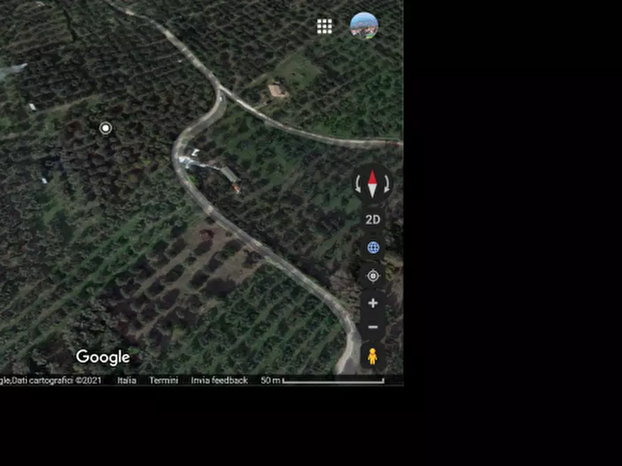 Immagine 6 di Terreno agricolo in vendita  in contrada Polercia a Vasto