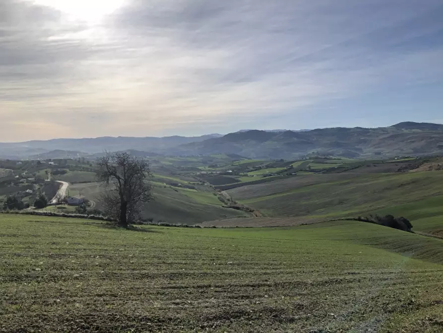 Immagine 4 di Terreno agricolo in vendita  in STRAMPALATO a Cupello