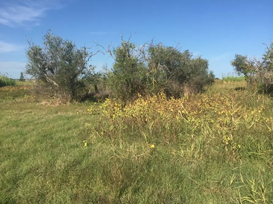 Immagine 9 di Terreno edificabile in vendita  in CAMPOMARINO LIDO a Campomarino