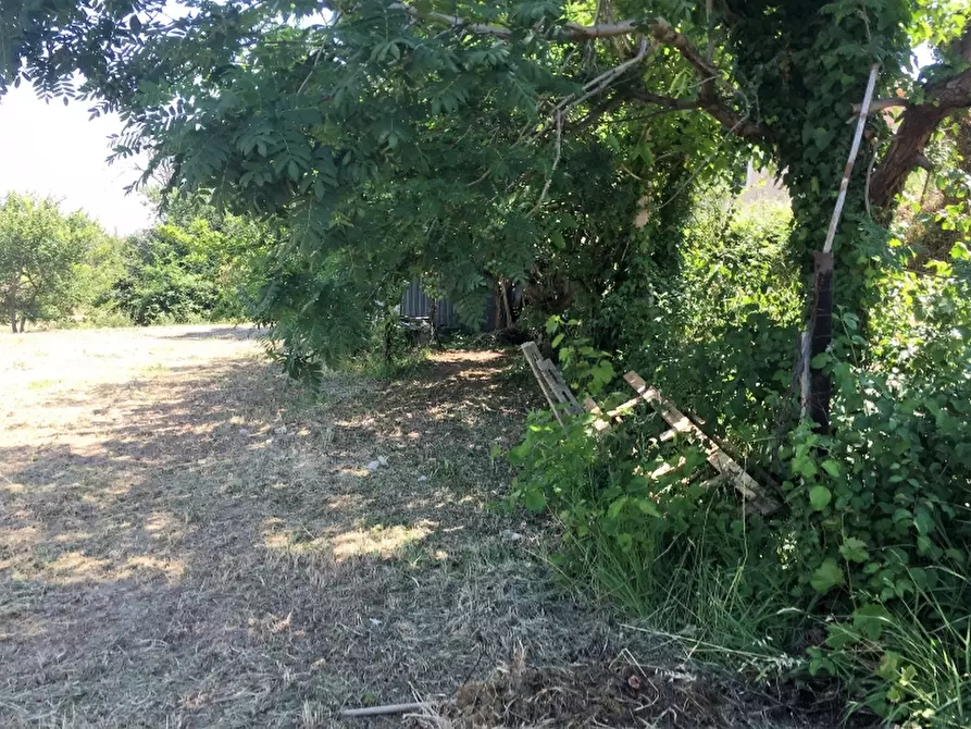 Immagine 7 di Terreno residenziale in vendita  in VIA ISTONIA a Cupello