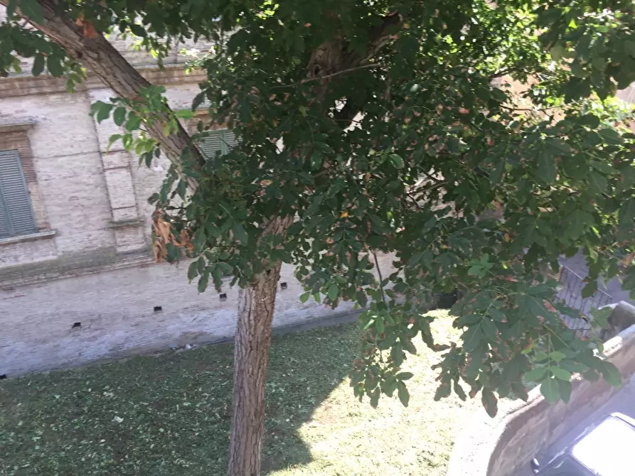 Immagine 7 di Porzione di casa in vendita  in CENTRO STORICO di MONTEODORISIO a Monteodorisio