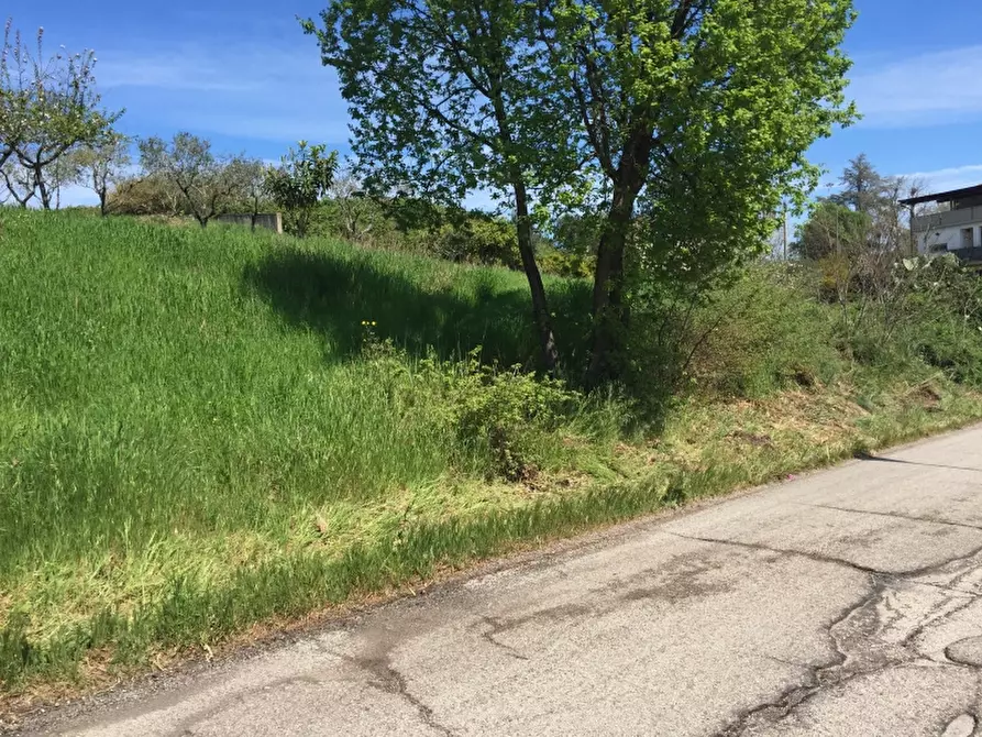 Immagine 6 di Terreno industriale in vendita  in PUNTA PENNA a Vasto